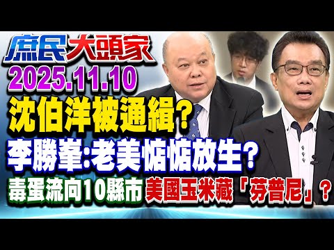 全球抓捕黑熊頭? 綠警告「擴及全民」 網酸:我們又沒收美國錢《庶民大頭家》完整版 20251110 #王鴻薇 #李勝峯 #林國成 #黃敬平 @chinatvnews