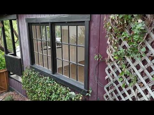 338 CraneTwilight Video