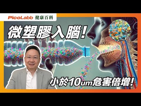 【健康百科】小心埋下大腦炸彈🧠💣!從茶包🫖到鋁罐🥤,微塑膠粒真的無處不在嗎?