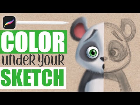 How To Color Sketches In Procreate w/o Using Outlines...Panda Edition!
