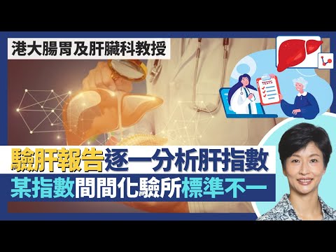 身體檢查—肝臟(上)|驗肝報告詳談 膽紅素、白蛋白、肝酵素逐一分析!肝功能檢查分3大類!某一肝指數個個化驗所標準不一 正常值可差4度|王建芳醫生 港大腸胃及肝臟科講座教授袁孟峰教授|人類健康研究所