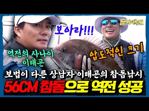 상남자 이태곤이 해냈다! 56cm 참돔으로 전세 역전🎣 황금뱃지를 건 낚시 대전의 진짜 사나이🔥 도시어부2 역대급 한판 | 도시어부2 33회