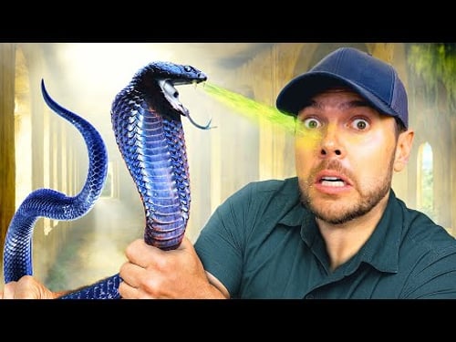 Catching Spitting Cobras in Abandoned Hotel!