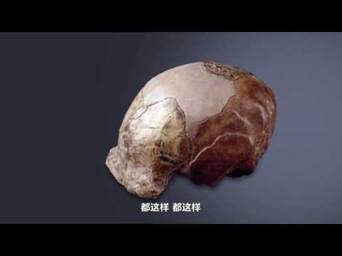 【一席】袁碩:進擊的智人