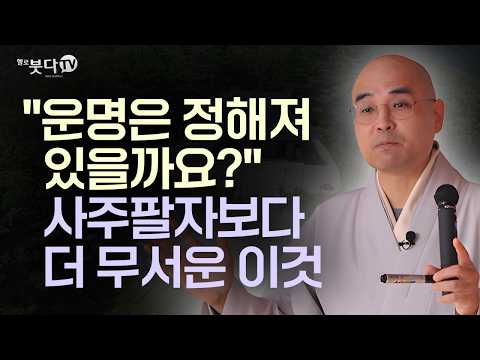 "Is fate fixed?" This is scarier than your fortune (you absolutely must know) | Meditation study ...