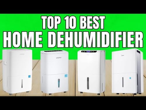 Best Dehumidifier For Home β Must Watch Before You Buy One!