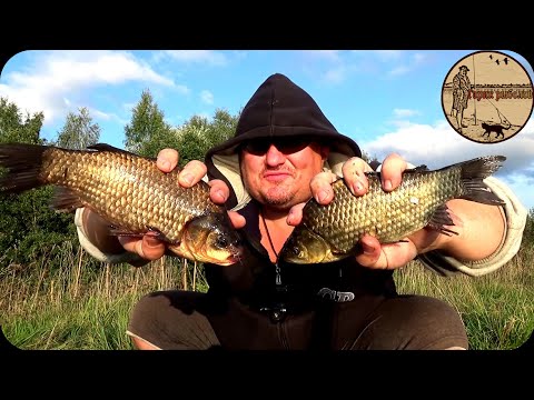 ВОТ ЭТО КЛЁВ.ЛОВИМ КАРАСЯ НА ДОНКИ или КАК ЛОВИТЬ В ЗАРОСШЕМ ТИНОЙ ОЗЕРЕ.