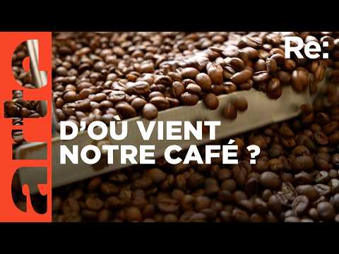 Cap sur le café équitable | ARTE Regards