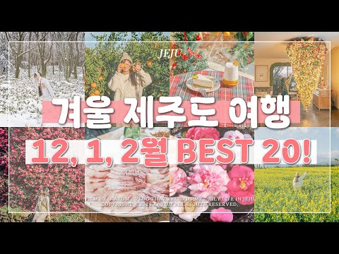 🌺 12월, 1월, 2월 겨울 제주도 여행 가볼 만한 곳 Best 20! | 제주 동백꽃 명소, 제주 가족 여행 코스