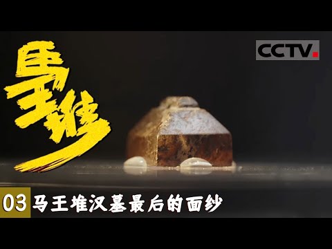 《马王堆》03 古今对话:三枚印章揭开了马王堆汉墓最后一层神秘的面纱【CCTV纪录】