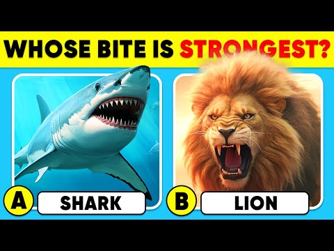 How Good Is Your Knowledge of ANIMALS? π¦πβ
General Knowledge Trivia Quiz