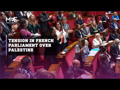 French MP suspended for waving Palestinian flag in parliament