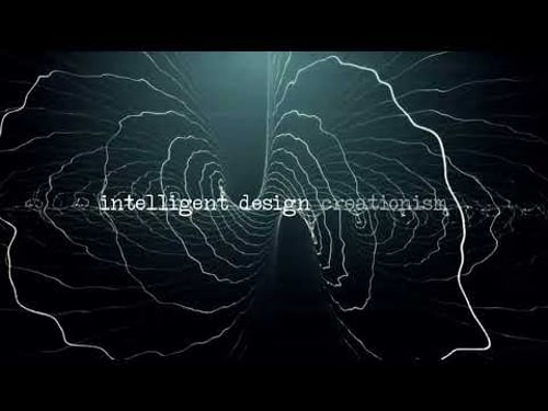 Chris Langan - Observer Participation and Physicalism - CTMU