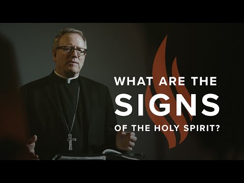 What Are the Signs of the Holy Spirit? - Bishop Barron's Sunday Sermon