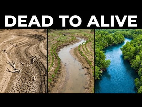 How Ghana Is Saving a Dying River Using the Science of the Right Trees