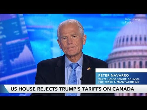 Chronic Trade Deficit is 'Toxic' to US Future, Says Peter Navarro