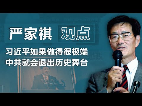 严家祺(上)习近平如果做得很极端 中共就会退出历史舞台| 观点