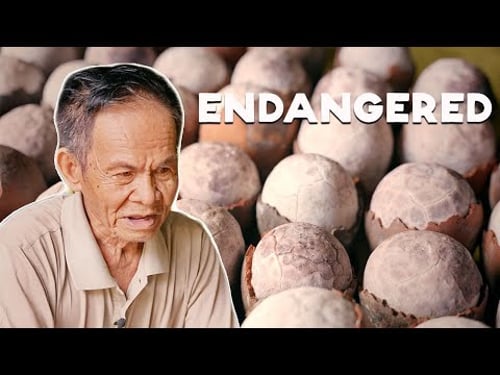 One of The Rarest Salt in the World is from the Philippines (Asin Tibuok)