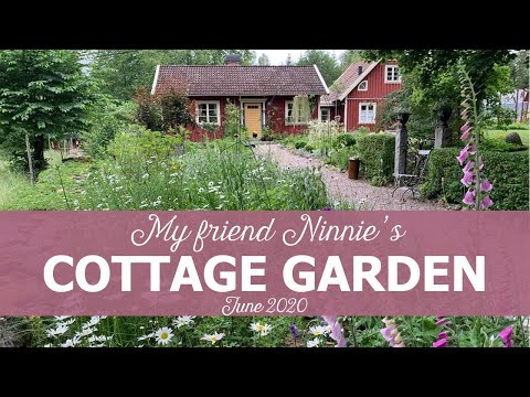 Ninnie's Cottage Garden – Sweden, June 2020