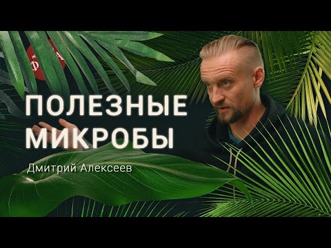 То, что происходит в кишечнике – влияет на наши мысли. Ученый Дмитрий Алексеев