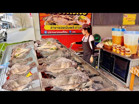 Sold Out 100 Kg Grilled Tilapia Fish With Spicy Thai Sauce & Som Tam | Thai Street Food