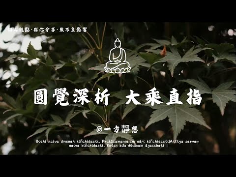 【建議收藏】《圆觉经》深度讲解:大乘根器开悟的秘密! #一方靜想#圆觉经 #了义经 #开悟 #无明 #禅定