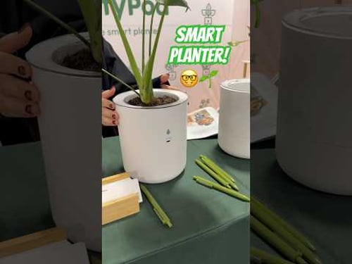 Smart planter! ๐ค๐ฑ#technology #plants