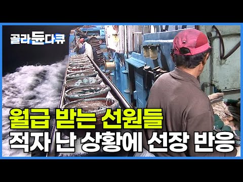 홍어잡이 배 치고는 꽤나 큰 규모의 21톤급 풍년호! 무뚝뚝한 선장님과 5명의 선원들의 4박 5일 바다 위의 사투!┃풍어의 꿈 이룰 수 있을까?┃만선 홍어잡이┃극한직업┃#골라듄다큐