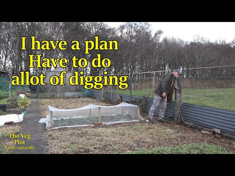 Ton of work before march