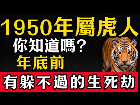 1950年屬虎人,你知道嗎?年底前,你有躲不過的「生死劫」,挺過去,你將一順百順!生肖虎必看!#張天師道法#屬相運勢#生肖#家運#生肖運勢的那些事#先知#風水變化#提升運勢