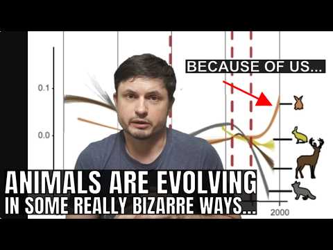 Animals Are Evolving to Survive in the Human World But Often in a Weird Way