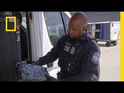 "Prześcieradła" okazały się kilogramami marihuany! | Złapać przemytnika