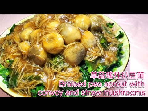 草菇瑤柱扒豆苗 || 簡易食譜|| 瑤柱扒豆苗|| 瑤柱草菇扒豆苗 || Braised pea sprout with conpoy and straw mushrooms