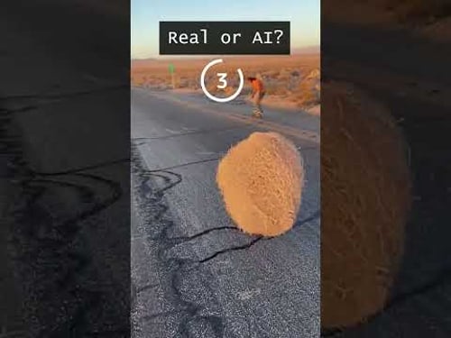 REAL or AI #10 #sora2