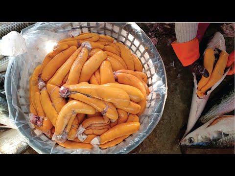 Mullet Cutting Skills-Mullet Roe Making ,Grilled Mullet Roe /烏魚切割技巧-烏魚子製作,烏魚子一口酥-Taiwan Street Food