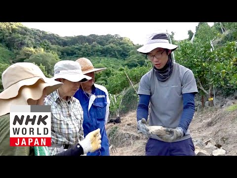 Dry Stone Waller: Kaneko Reo - FRONTRUNNERS