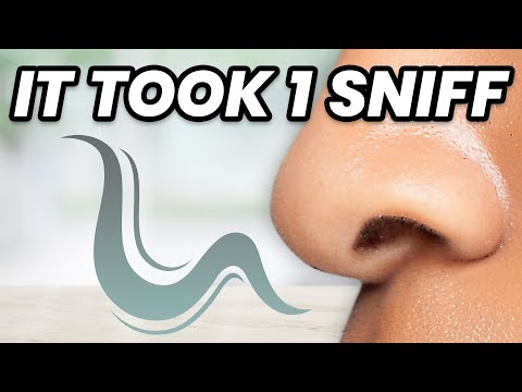 How 1 Sniff Tragically Killed an 11-Year-Old