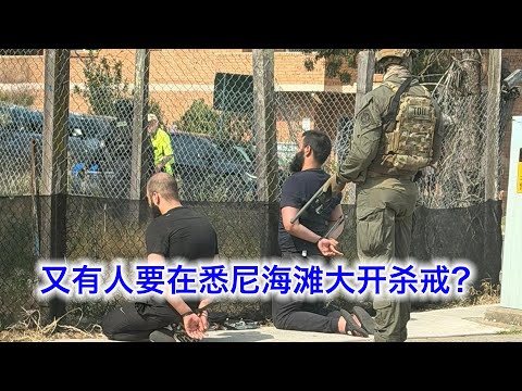 突发,又有人要去邦代大开杀戒?悉尼重装警察闹市撞停车辆拘捕七人!澳洲联邦狗熊政府宣布严打政策,却还是不敢提那三个字