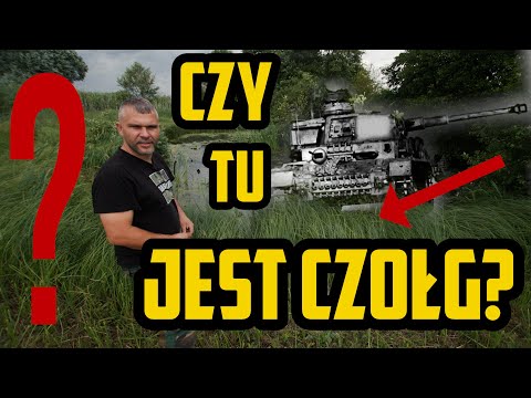 Is there a tank resting in the swamp?