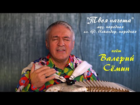 Песня под баян от ВАЛЕРИЯ СЁМИНА ❤️ "ТВОЯ НАГОТА". Душевно и красиво ❤️