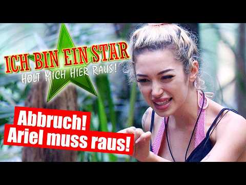 Dschungelcamp 2026: ABBRUCH! ARIEL SOLL RAUS!
