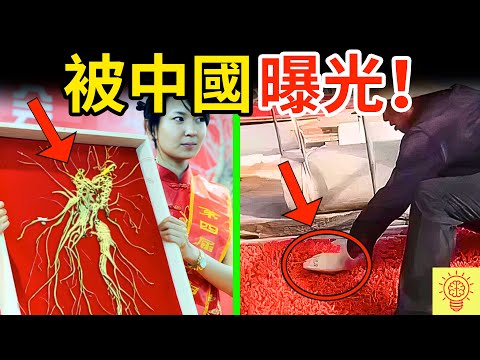 被中國曝光的黑心藥材補品!人參、枸杞、海參集體塌房!你吃了幾個?
