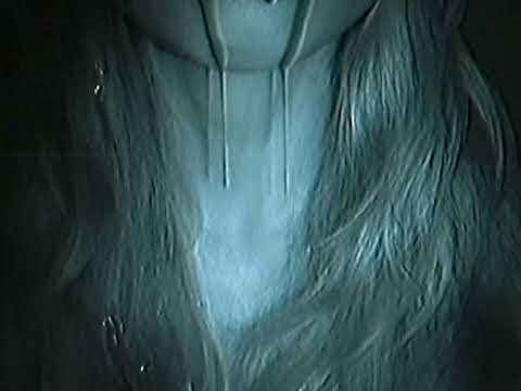 karma-log entry 02: Aswang sa Maynila