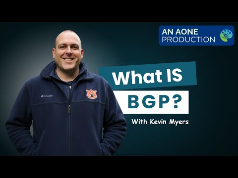 What is BGP?
