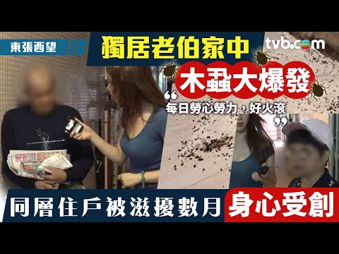 東張西望|獨居老伯家中木蝨大爆發 同層住戶被滋擾數月身心受創