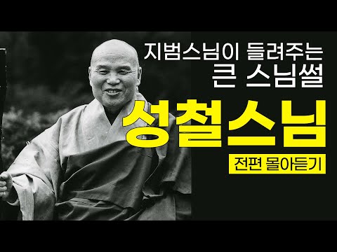 #성철스님 "산은 산이요 물은 물이로다 "| 어디서도 들을 수 없는 큰스님 썰!📖(출가부터 원적까지 한방에 몰아듣기👂) #열반30주기