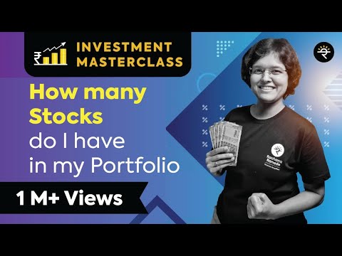 How many Stocks do I have in my Portfolio? | Investment Masterclass