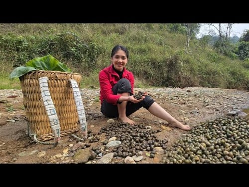 The girl left the city to live in the forest – to experience life in the wild.