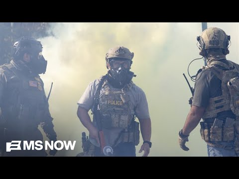 'Thugs running through our streets': Dem Senator blasts ICE's brutal tactics