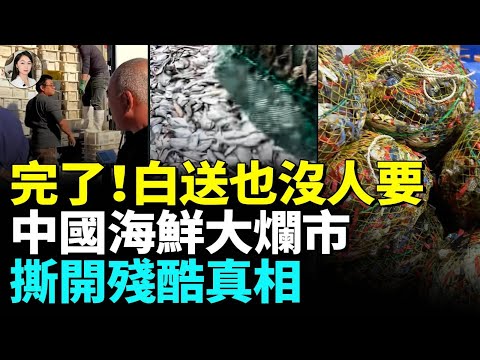 中國海鮮大爛市白送沒人要;海鮮堆積成山扔垃圾桶;海鮮價格暴跌市場一片蕭條;揭背後殘酷真相 #睇大陸